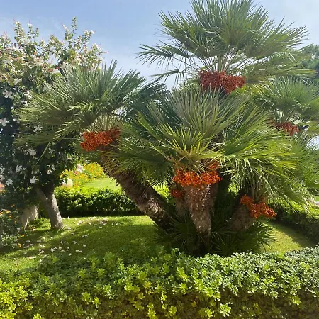 Appartamento Giardino Sul Mare Giardini Naxos